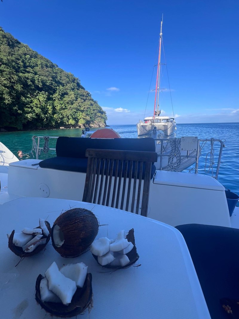 Cocos frescos a bordo, expedición Guadalupe 2026